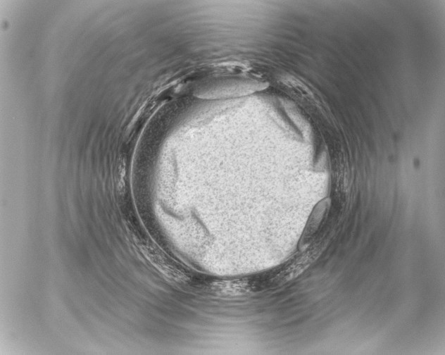 X0000054460660200508191704