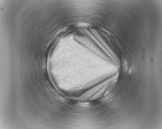 X0000054460665200508191704