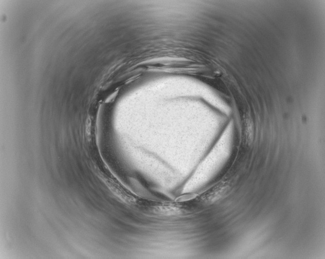 X0000054460668200508191704