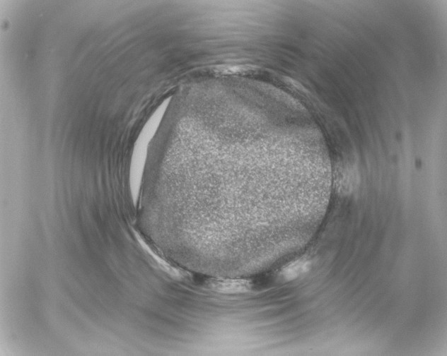 X0000054460670200508191704