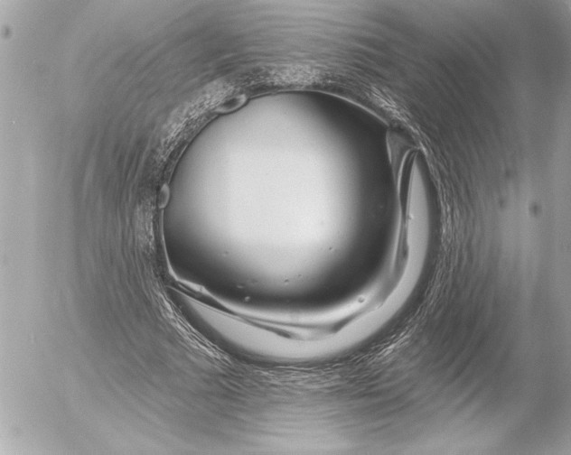 X0000054460681200508191703