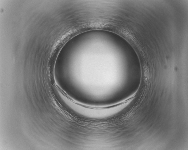 X0000054460684200508191703