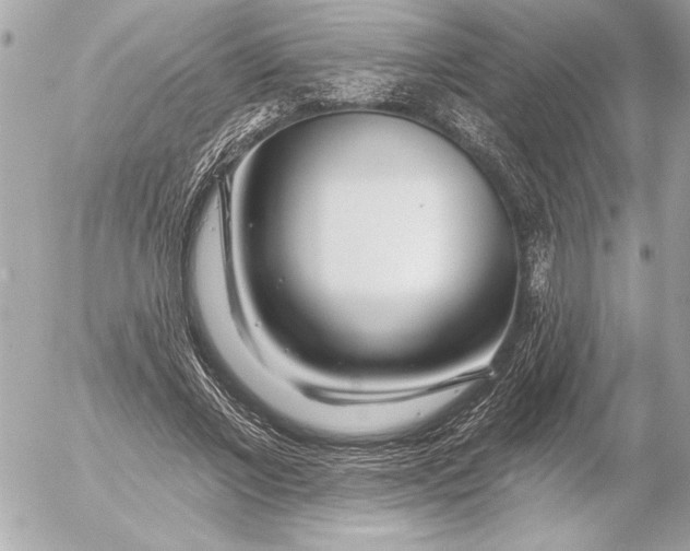 X0000054460685200508191703