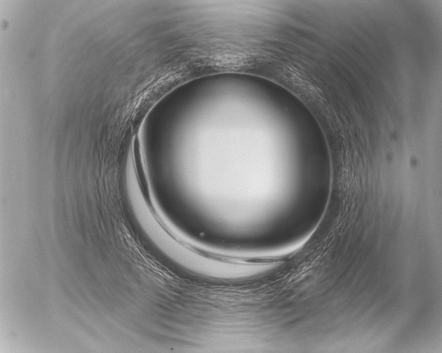X0000054460689200508191703