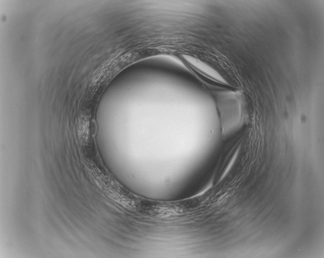 X0000054460697200508191703