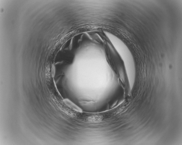 X0000054460700200508191703
