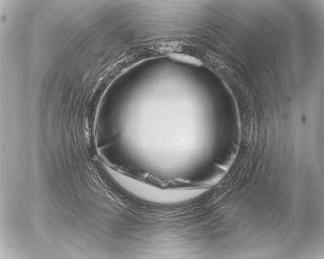 X0000054460704200508191702