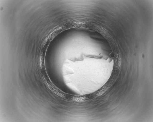 X0000054460710200508191702