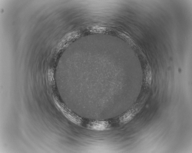 X0000054460711200508191702