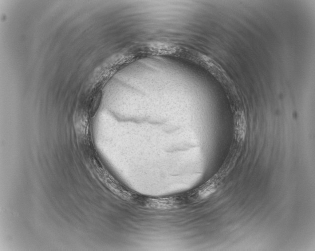 X0000054460713200508191702