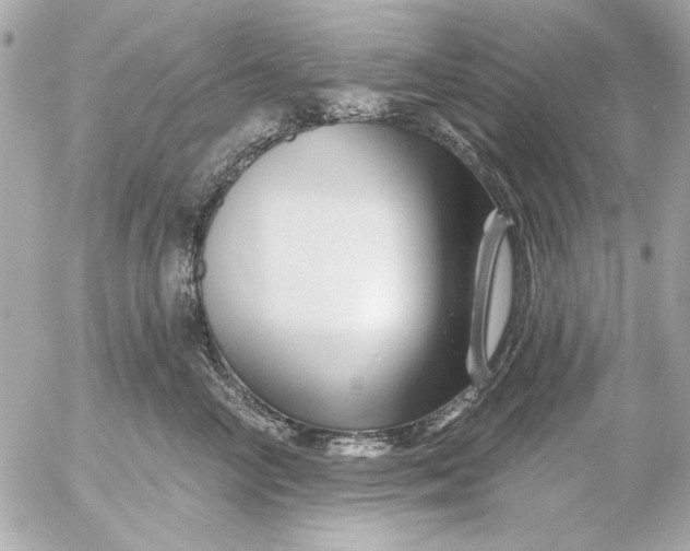X0000054460714200508191702