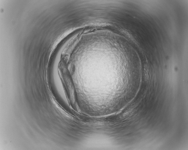 X0000054460726200508191701