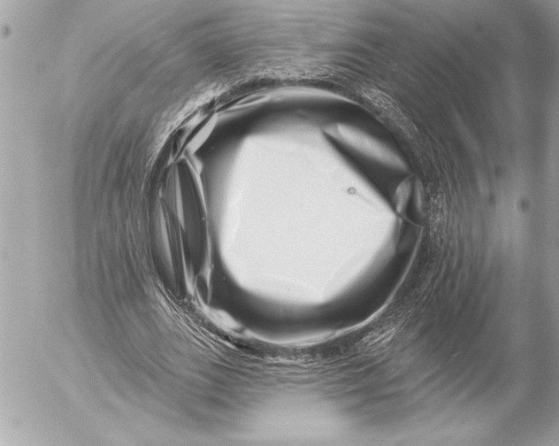 X0000054460727200508191701