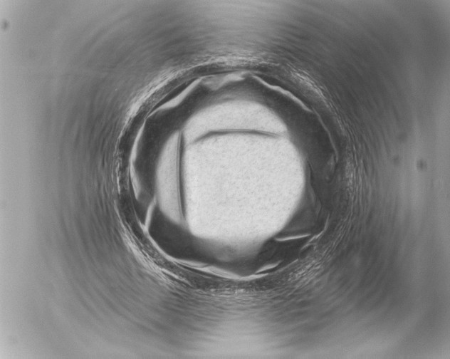 X0000054460730200508191702