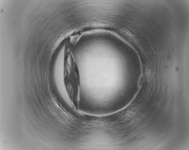 X0000054460732200508191702