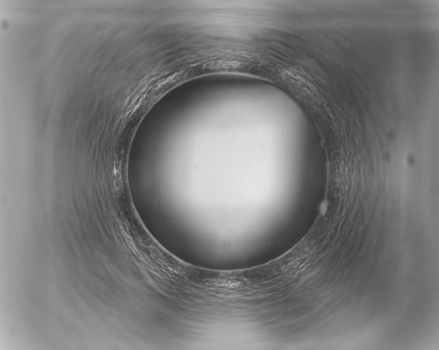 X0000054460743200508191702
