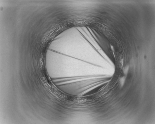 X0000054460746200508191702