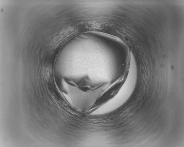 X0000054460747200508191702