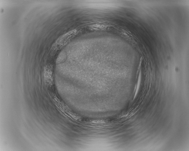 X0000054460749200508191702