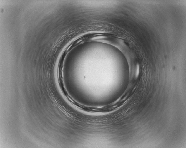 X0000054460750200508191702