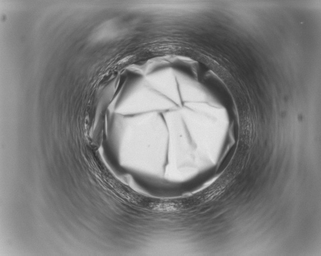 X0000054460751200508191702