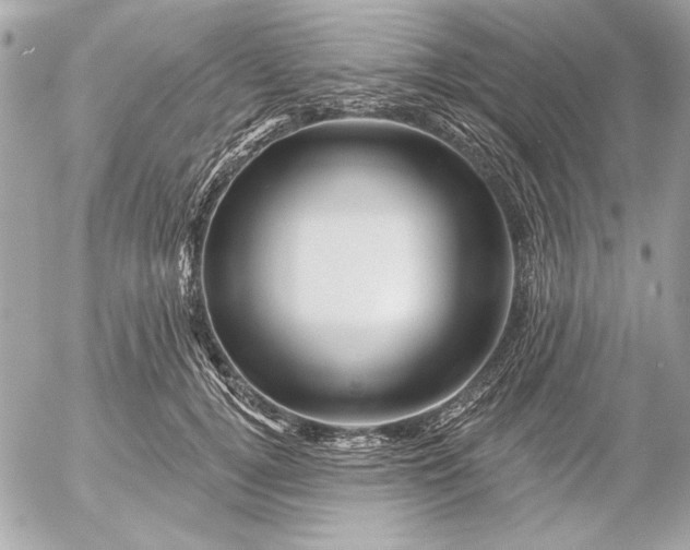 X0000054460752200508191702