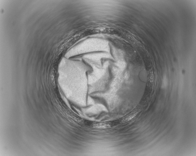 X0000054460754200508191702