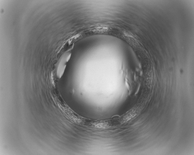 X0000054460755200508191702
