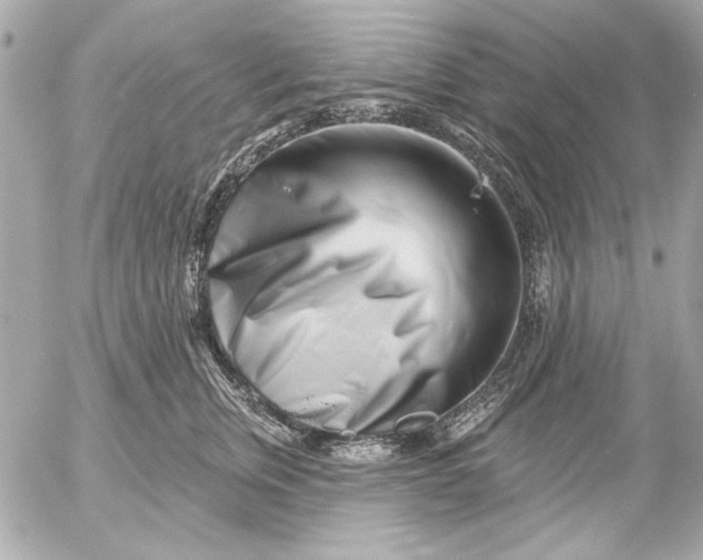 X0000054460759200508191702