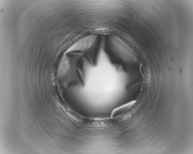 X0000054460764200508191702