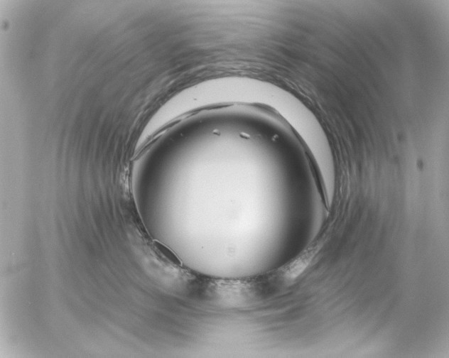 X0000054460766200508191702