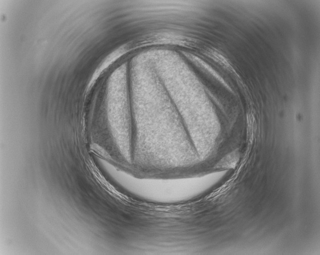 X0000054460780200508191701