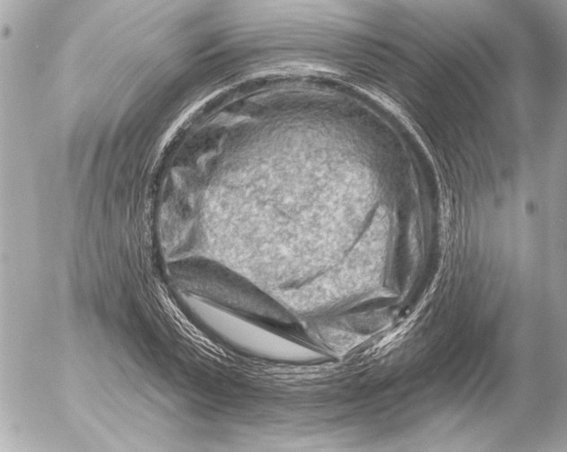 X0000054460783200508191701