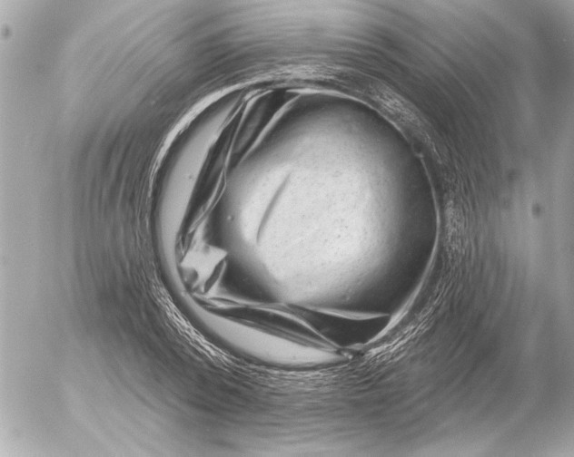 X0000054460784200508191701