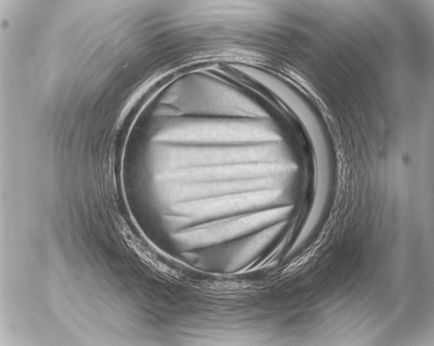 X0000054460788200508191701