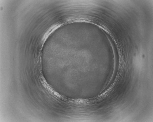 X0000054460790200508191701