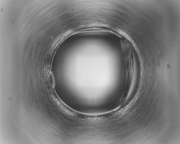 X0000054460793200508191701