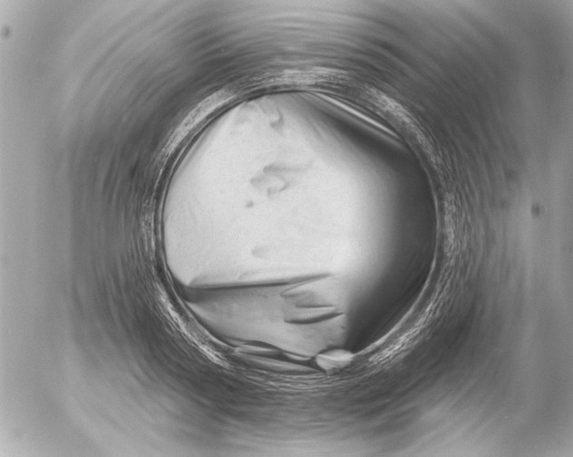 X0000054460794200508191701