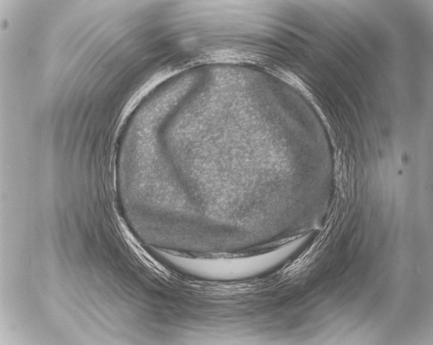 X0000054460795200508191701