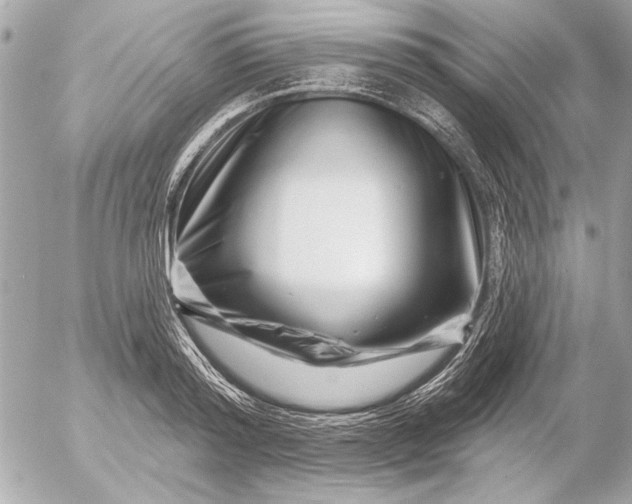 X0000054460796200508191701