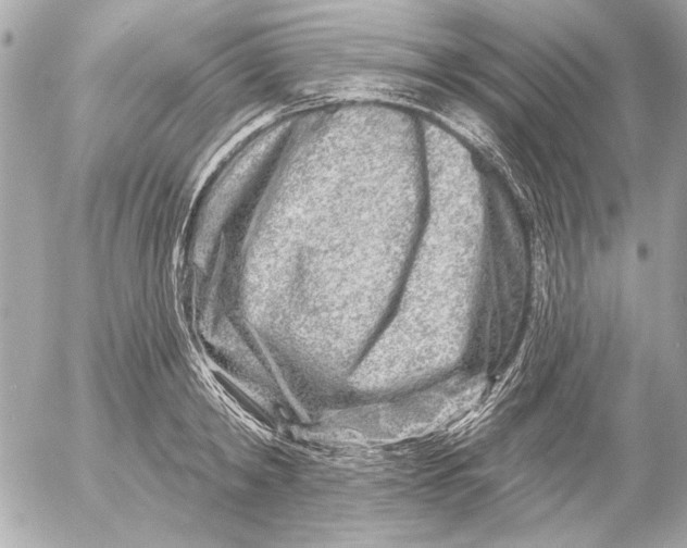 X0000054460798200508191701