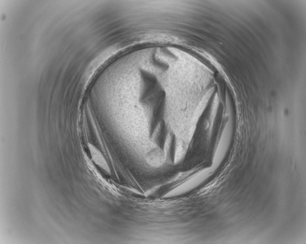 X0000054460799200508191701