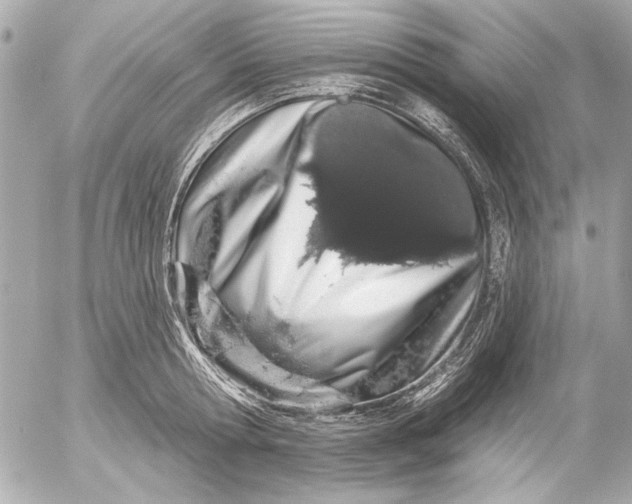 X0000054460802200508191701
