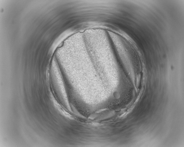 X0000054460814200508191701