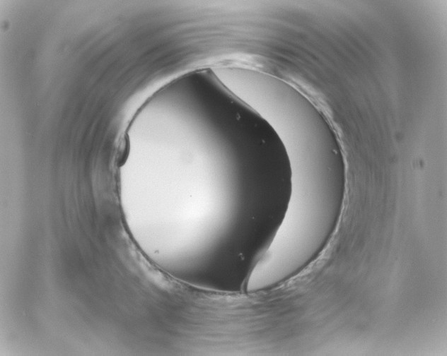 X0000054460816200508191701