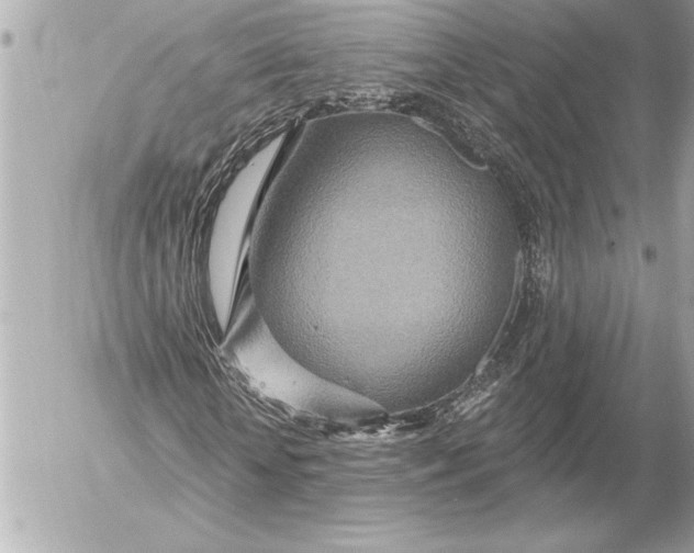 X0000054460818200508191700
