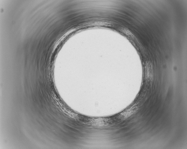 X0000054460828200508191700