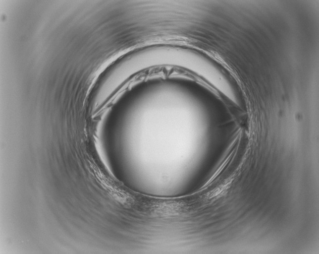 X0000054460830200508191700