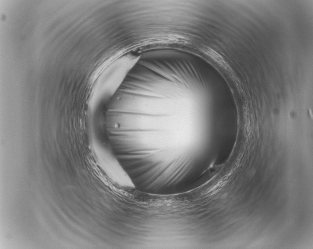 X0000054460834200508191700
