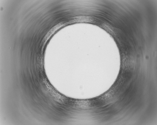 X0000054460836200508191700